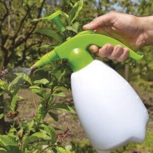 Spruzzatore a pressione Spruzzino nebulizzatore Pompa manuale piante fiori 2 LT