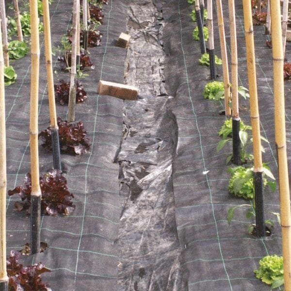 TESSUTO PACCIAMATURA ROTOLO VERDE/QUADRO VERDE 525/12 Telo pacciamatura Verde per erbacce copertura terreno Rotolo 2,10x20 mt - immagine 1